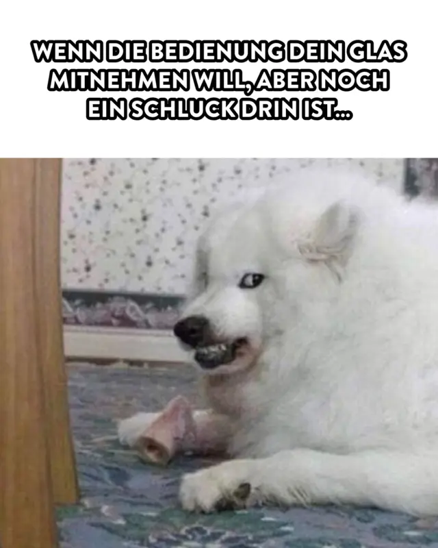 Nicht anfassen!!!
 
#dasgildet #meingilde #hannover #meme #gilde #gildebrauerei #brauerei