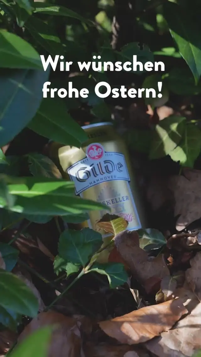 Komisch... irgendwie finden wir die ganze Zeit nur 0,33l Ratskeller Dosen. Seit wann gibt's die denn? 🤔
#meingilde #dasgildet #bier #brauerei