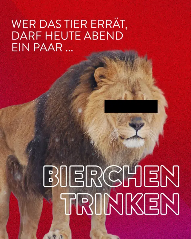 Augen zu und durch: Wer’s errät, darf heute ein paar Bierchen zähmen. 🍻
Schreibt euren Tipp in die Kommentare. Aber bitte nicht brüllen, sonst wird’s zu einfach.

#meme #meingilde #dasgildet #hannover #brauerei