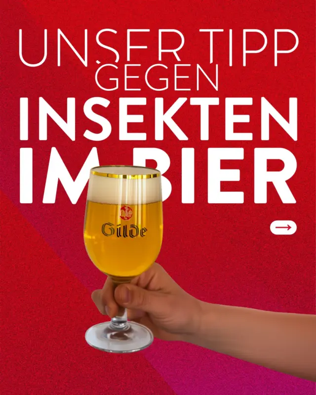 Insekten im Bier? Nicht mit uns. 🍺
Unser Geheimtipp: Einfach schneller trinken. 
Dankt uns später! 😅

#meingilde #dasgildet #hannover #meme #bier
