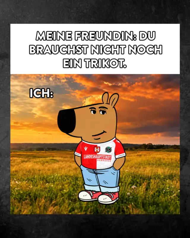 Sind es nur wir oder kommt euch das auch bekannt vor? 😂

#meingilde #dasgildet #meme #hannover #hannover96
In Teilen KI-generiert.